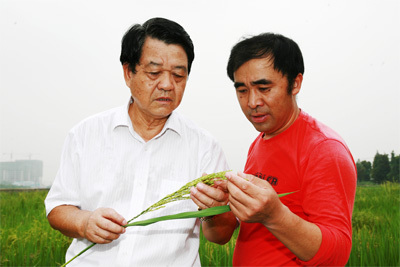 张先程图册_360百科