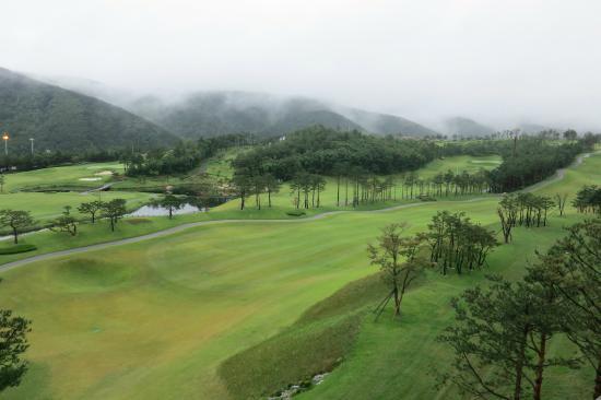 高城郡图册_360百科