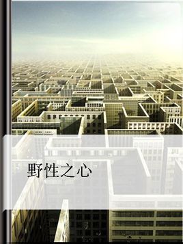深入探索