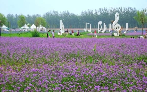 科技苑养肥鱼 【农广天地】孙子故里 果香鱼肥