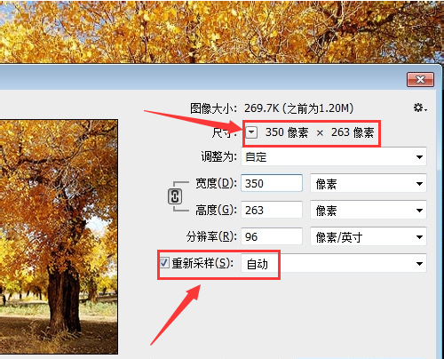 ps怎样批量修改图片尺寸大量图片一次性改尺寸