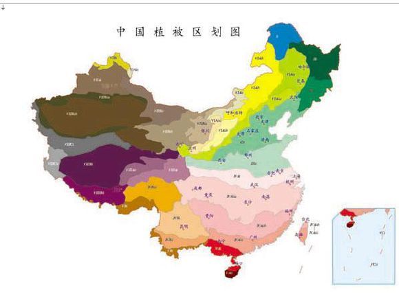 地理位置与带宽的影响 (地理位置带嘉的地方)-虎跃云资讯网