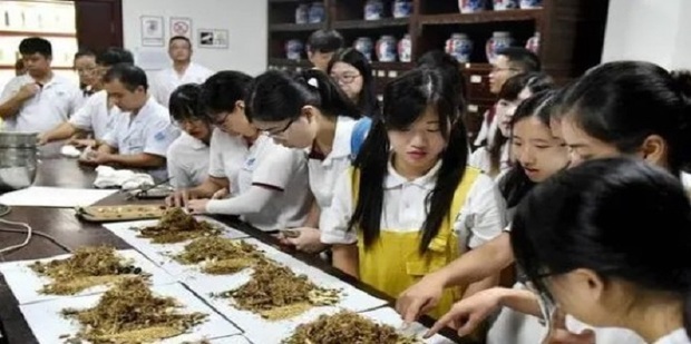 怎样才能学好中医_360新知