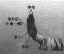 掌图册_360百科