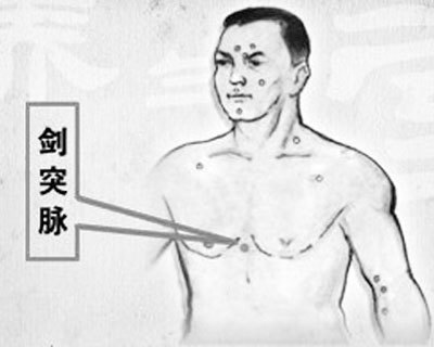 胸骨剑突图册_360百科