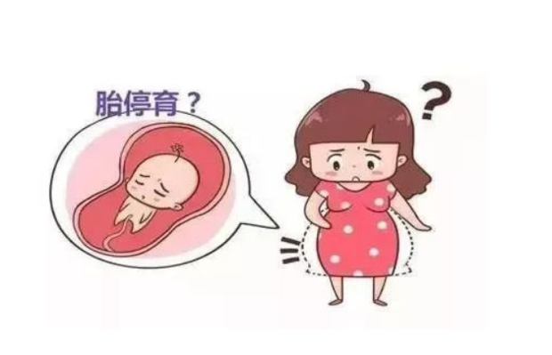 造成胎停育的六大原因_360新知