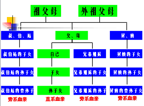 血缘图册_360百科