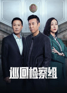 巡回检察组