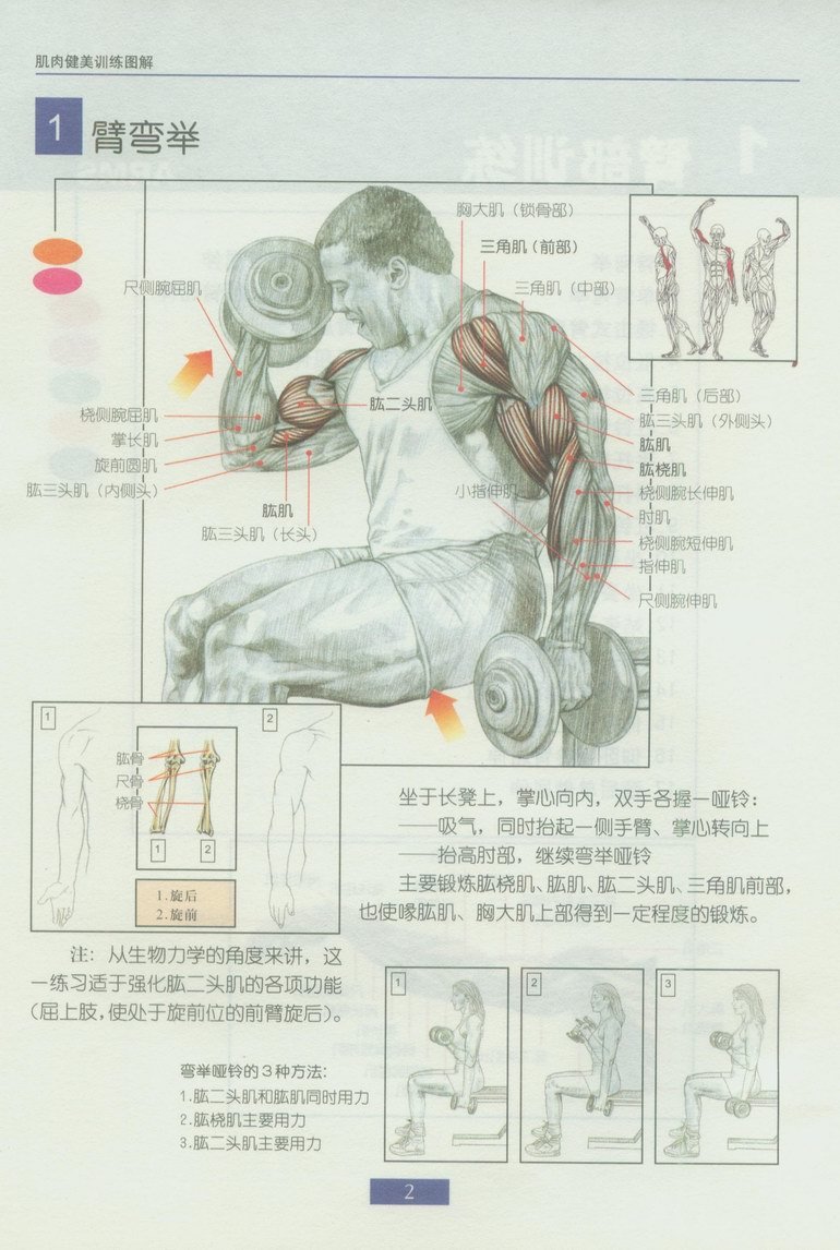 弯举图册_360百科