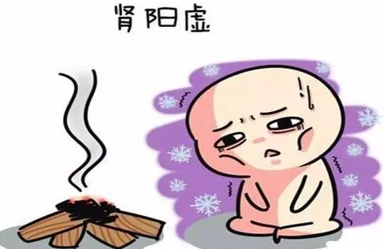肾阳虚图册_360百科
