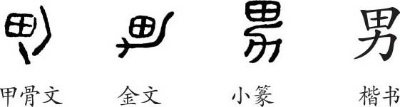 男(汉语汉字)_360百科
