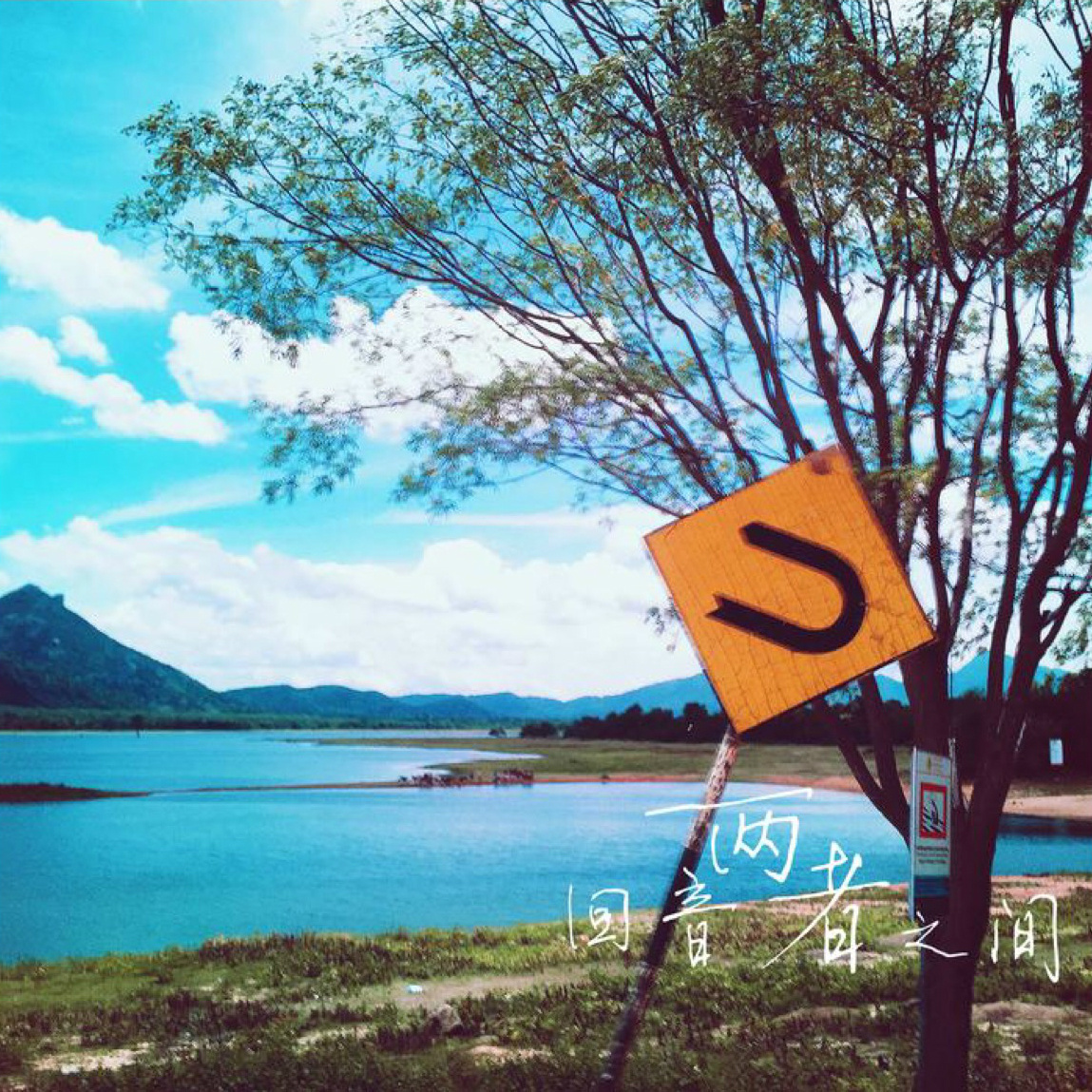 揭秘两者之间的联系