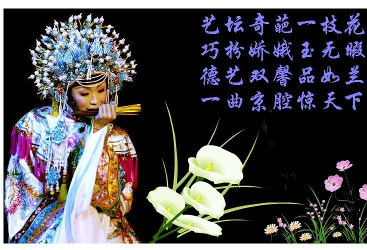 一枝花图册_360百科