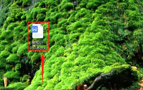 how to download microsoft office 2019 in my pc