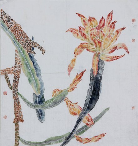 梅君图册_360百科