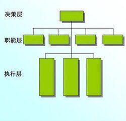 职能型组织结构图册_360百科