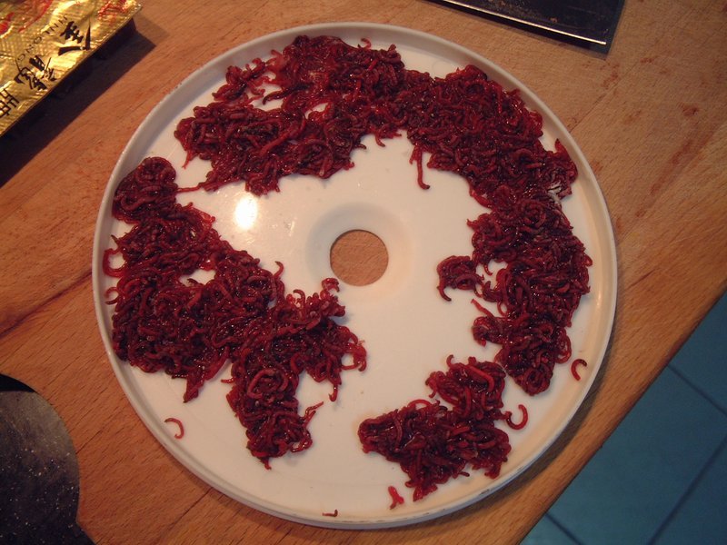 血红虫图册_360百科