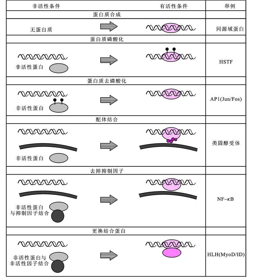 反式作用因子图册_360百科
