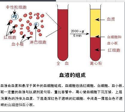血液的成分与结构_360新知