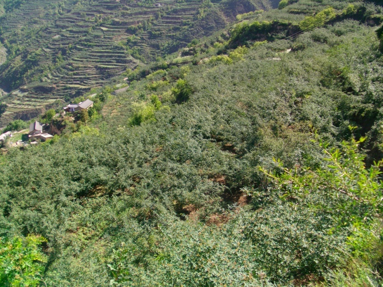 访问异常页面
