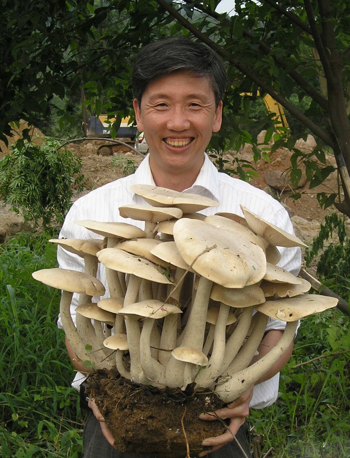 李泰辉图册_360百科