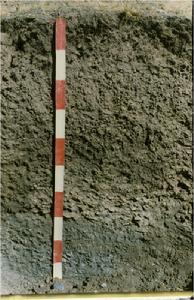 湿成土图册_360百科