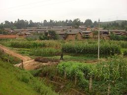 上村图册_360百科