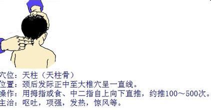 天柱骨图册_360百科