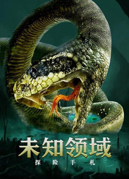 探险手札之未知领域