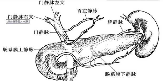 中医理论：[20]五脏--脾_360新知