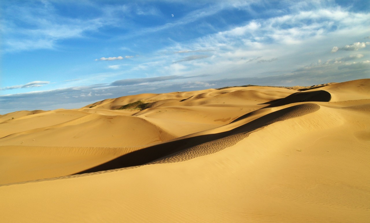 2023七星湖沙漠生态旅游区游玩攻略,官方数据显示，近年来，七星...【去哪儿攻略】