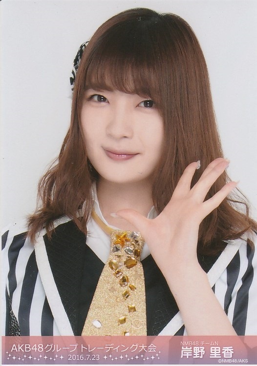 岸野里香图册_360百科