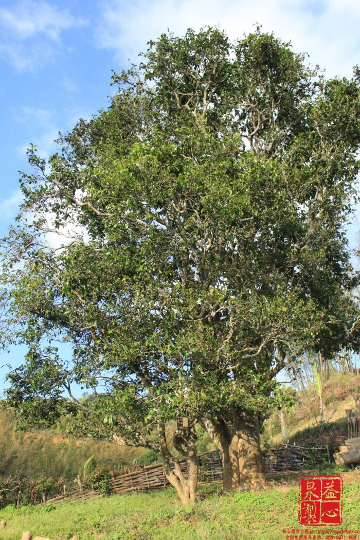 邦威图册_360百科