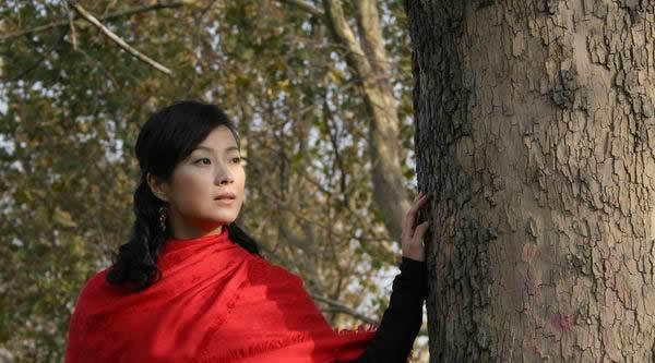 心火图册_360百科