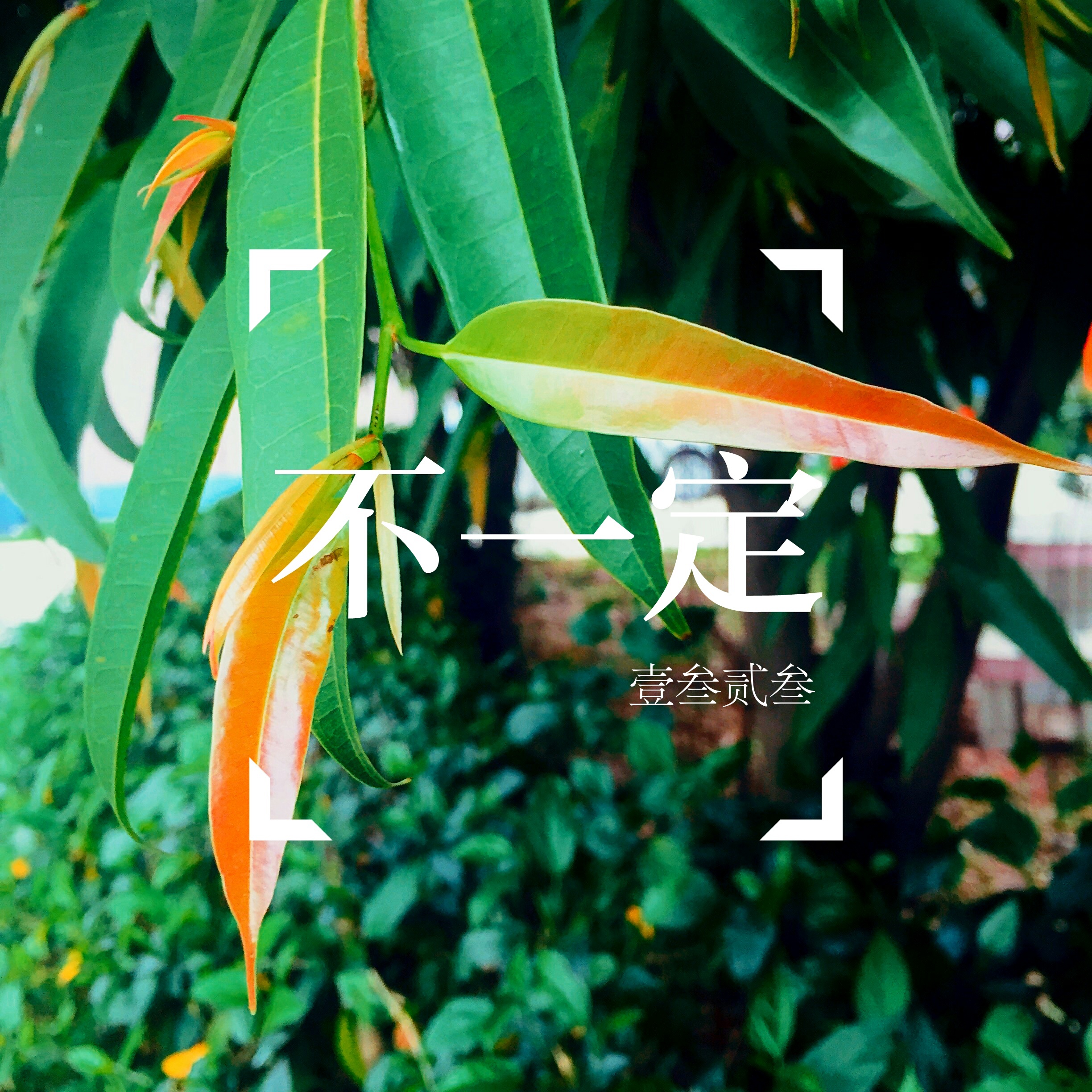 不一定图册_360百科