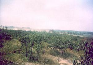 马圩镇图册_360百科