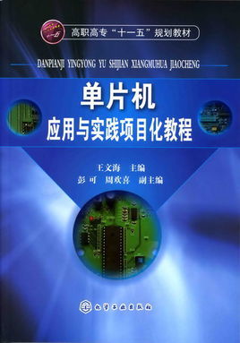 实践应用，解析真实案例与技巧分享 (实践应用怎么写)