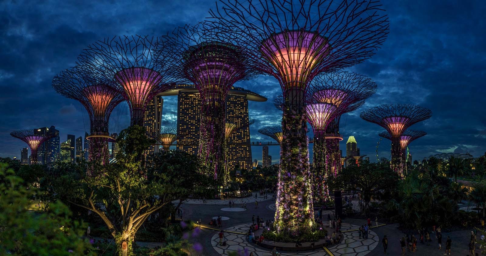 新加坡滨海湾花园图册_360百科