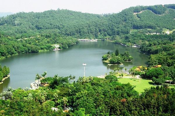 深圳仙湖植物园怎