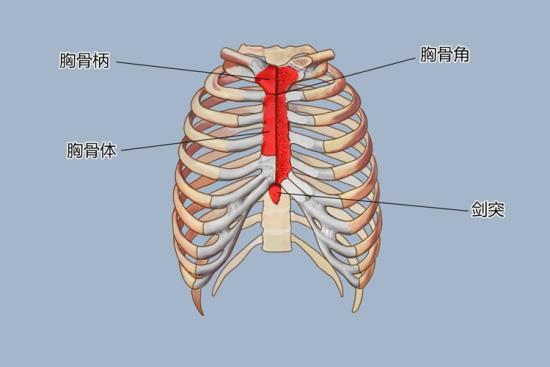 剑突图册_360百科