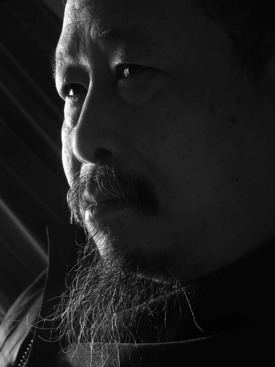 杨放图册_360百科