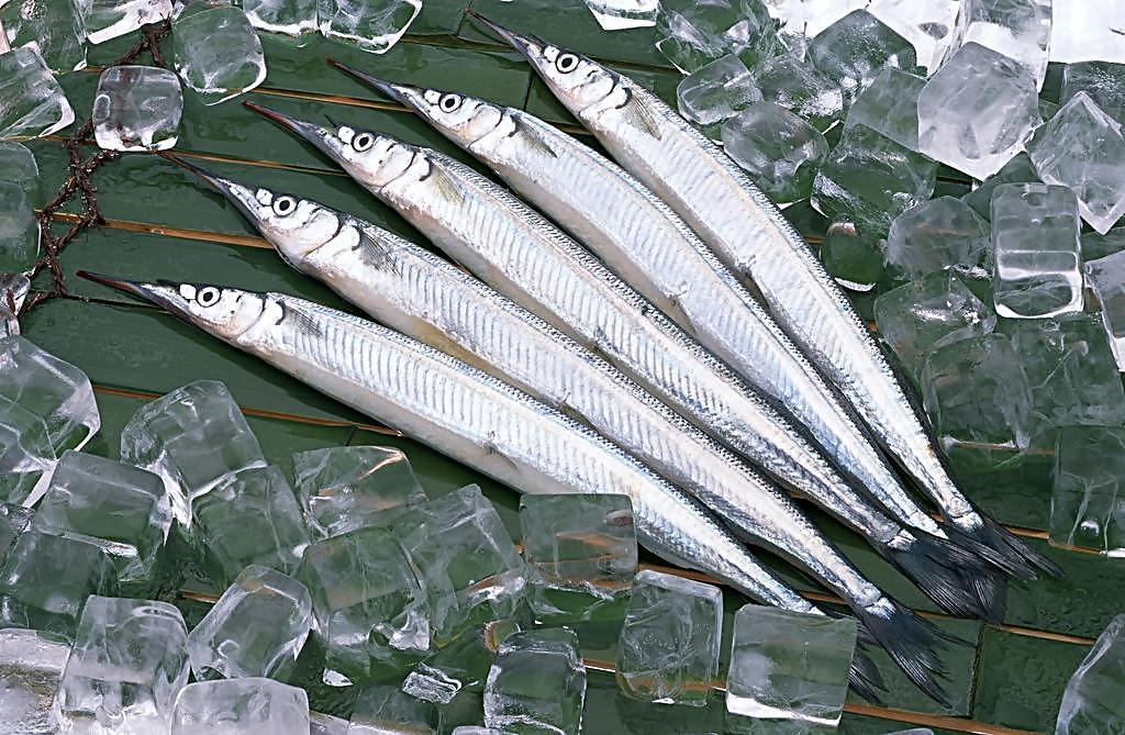 马步鱼图册_360百科