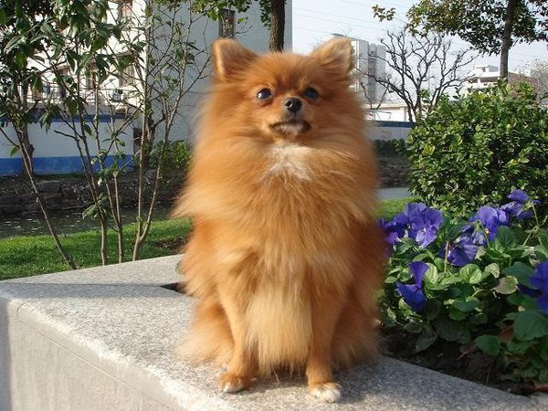 哈希娱乐- 哈希游戏平台- 哈希游戏官方网站食物产业何以备受关注