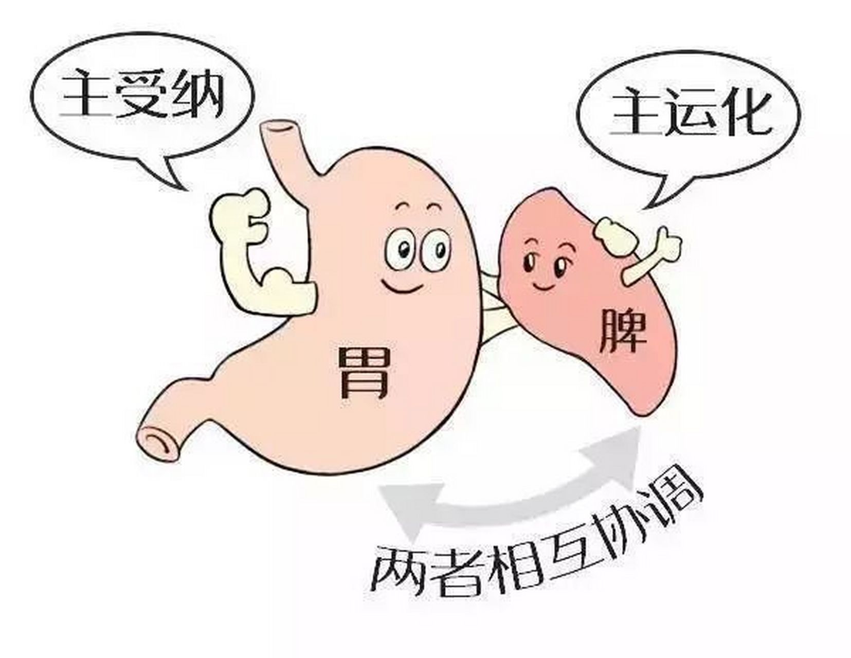 脾胃不和图册_360百科