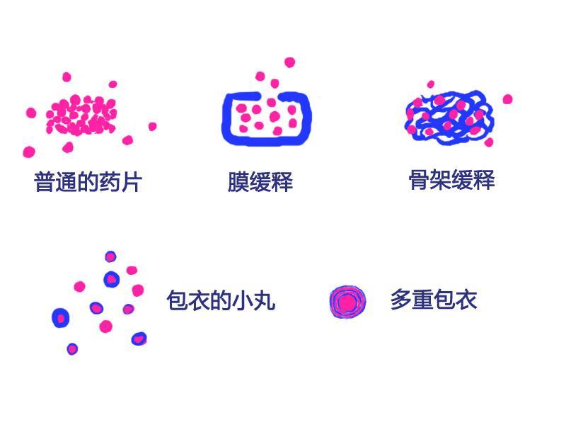 缓释效应图册_360百科