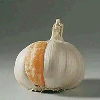 装蒜图册_360百科