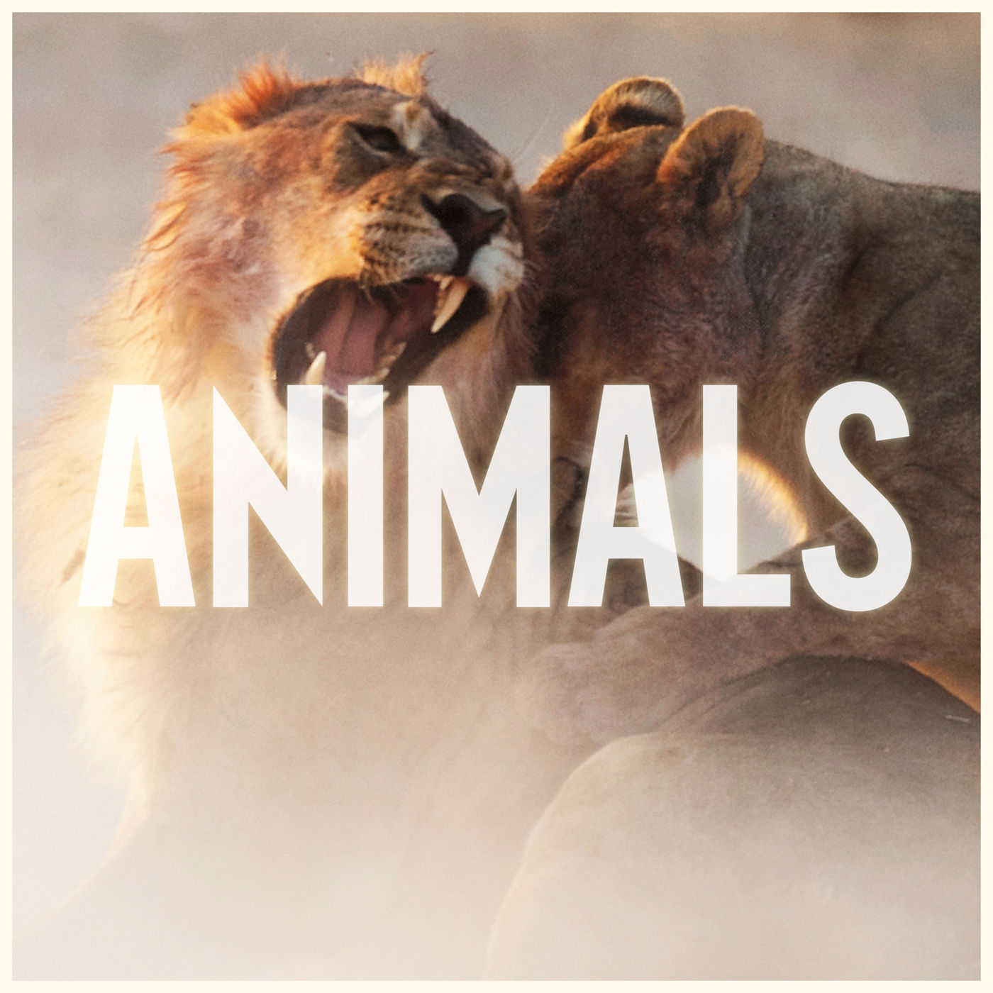 ANIMALS图册_360百科