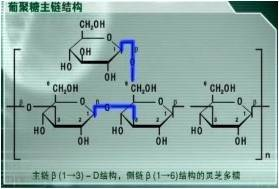 活性多糖图册_360百科