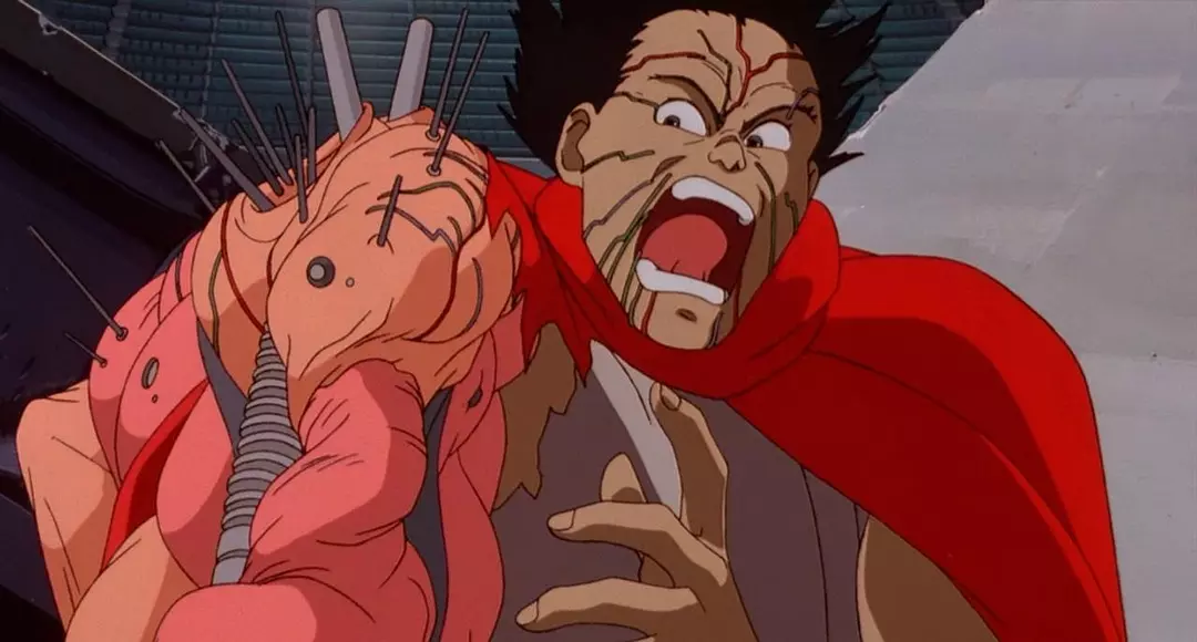 阿基拉图册_360百科