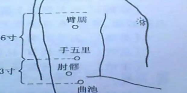 臂臑穴穴位位置图及作用_360新知